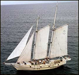 Go&eacute;lette &agrave; gr&eacute;ement aurique.